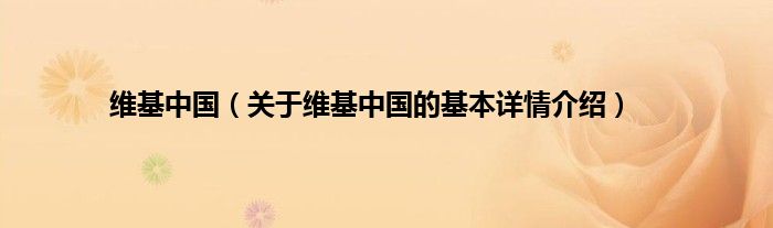 维基中国（关于维基中国的基本详情介绍）