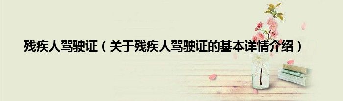 残疾人驾驶证（关于残疾人驾驶证的基本详情介绍）