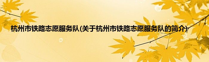 杭州市铁路志愿服务队(关于杭州市铁路志愿服务队的简介)