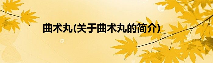 曲术丸(关于曲术丸的简介)