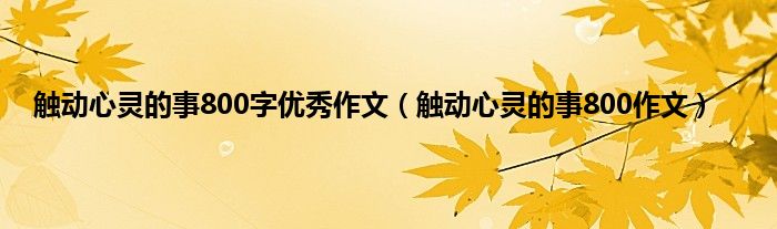 触动心灵的事800字优秀作文（触动心灵的事800作文）
