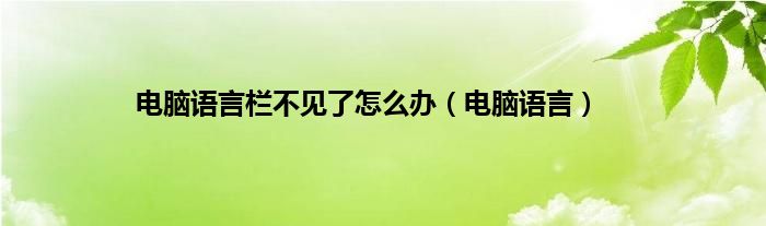 电脑语言栏不见了怎么办（电脑语言）