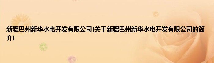 新疆巴州新华水电开发有限公司(关于新疆巴州新华水电开发有限公司的简介)