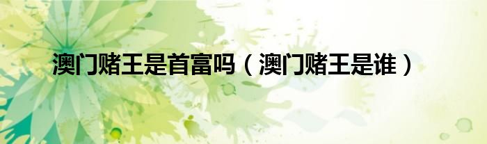 澳门赌王是首富吗（澳门赌王是谁）