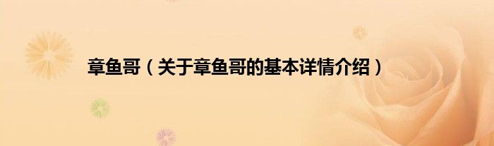 章鱼哥（关于章鱼哥的基本详情介绍）