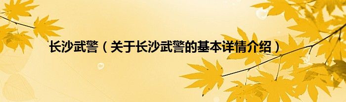 长沙武警（关于长沙武警的基本详情介绍）