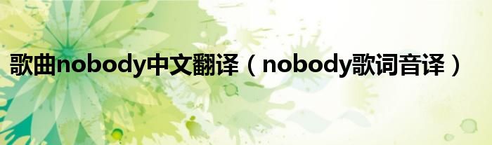 歌曲nobody中文翻译（nobody歌词音译）