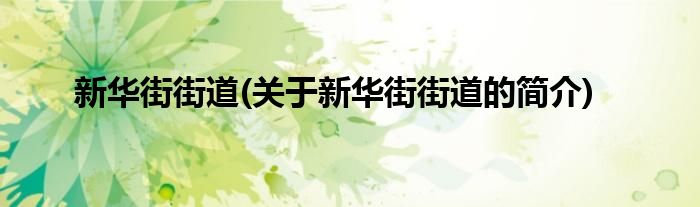 新华街街道(关于新华街街道的简介)