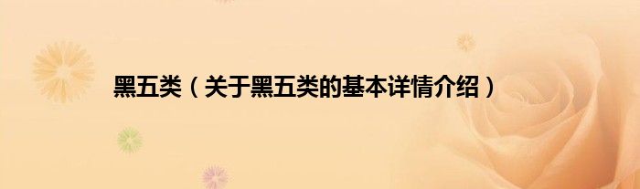 黑五类（关于黑五类的基本详情介绍）