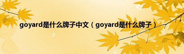 goyard是什么牌子中文（goyard是什么牌子）