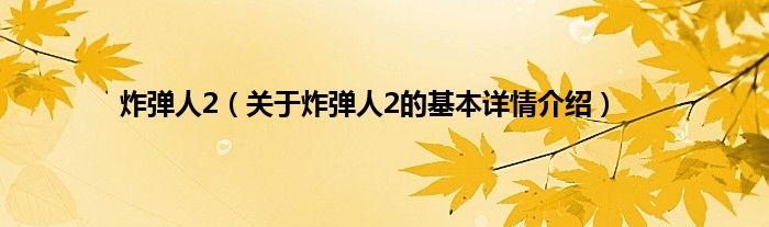 炸弹人2（关于炸弹人2的基本详情介绍）