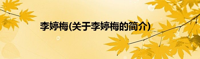 李婷梅(关于李婷梅的简介)