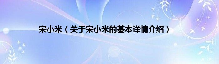 宋小米（关于宋小米的基本详情介绍）