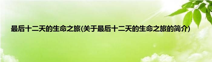 最后十二天的生命之旅(关于最后十二天的生命之旅的简介)
