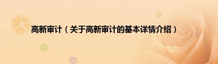 高新审计（关于高新审计的基本详情介绍）