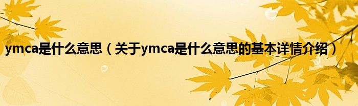 ymca是什么意思（关于ymca是什么意思的基本详情介绍）