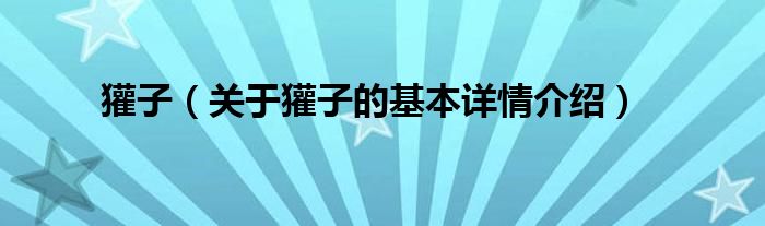 獾子（关于獾子的基本详情介绍）