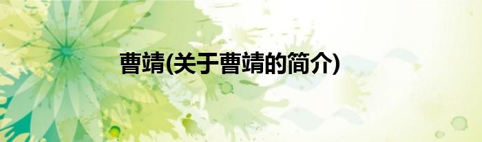 曹靖(关于曹靖的简介)