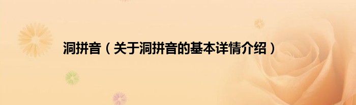 洞拼音（关于洞拼音的基本详情介绍）