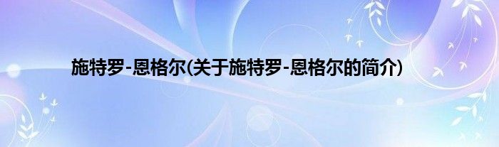 施特罗-恩格尔(关于施特罗-恩格尔的简介)