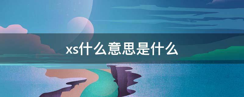 xs什么意思是什么