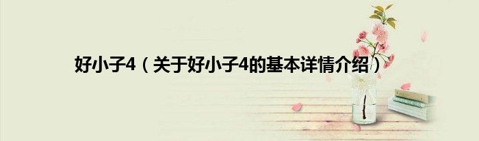 好小子4（关于好小子4的基本详情介绍）