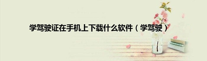 学驾驶证在手机上下载什么软件（学驾驶）