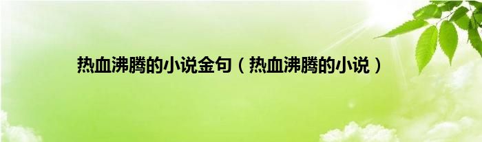 热血沸腾的小说金句（热血沸腾的小说）