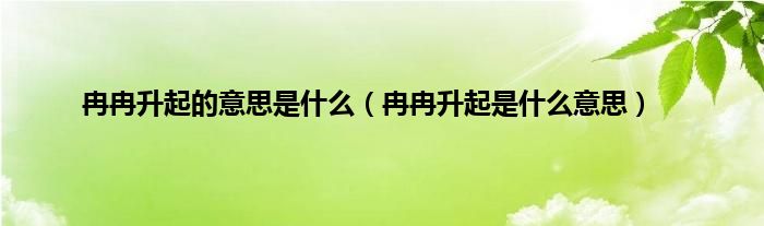 冉冉升起的意思是什么（冉冉升起是什么意思）