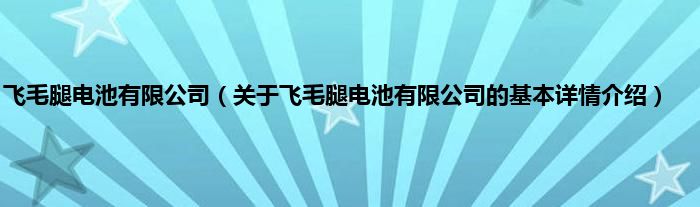 飞毛腿电池有限公司（关于飞毛腿电池有限公司的基本详情介绍）