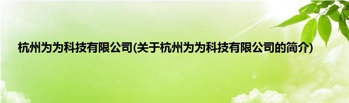 杭州为为科技有限公司(关于杭州为为科技有限公司的简介)