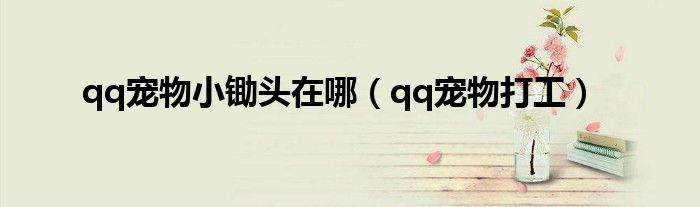qq宠物小锄头在哪（qq宠物打工）