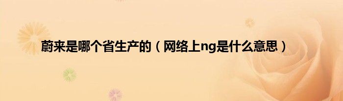 蔚来是哪个省生产的（网络上ng是什么意思）