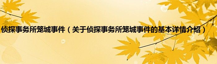 侦探事务所笼城事件（关于侦探事务所笼城事件的基本详情介绍）