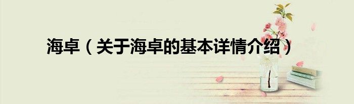 海卓（关于海卓的基本详情介绍）