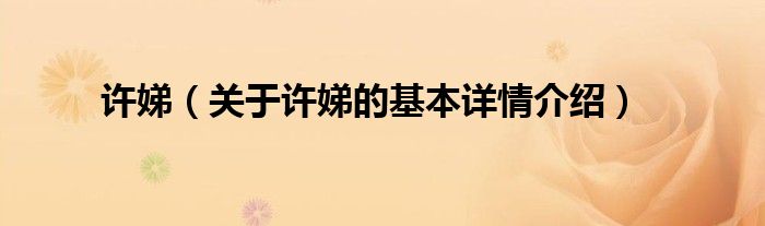 许娣（关于许娣的基本详情介绍）