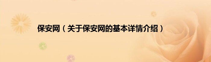 保安网（关于保安网的基本详情介绍）
