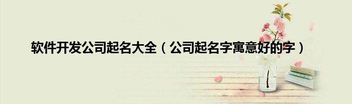软件开发公司起名大全（公司起名字寓意好的字）