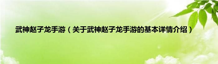 武神赵子龙手游（关于武神赵子龙手游的基本详情介绍）