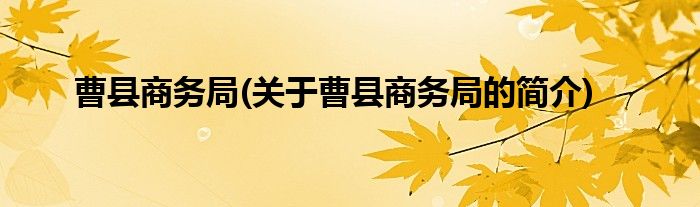 曹县商务局(关于曹县商务局的简介)