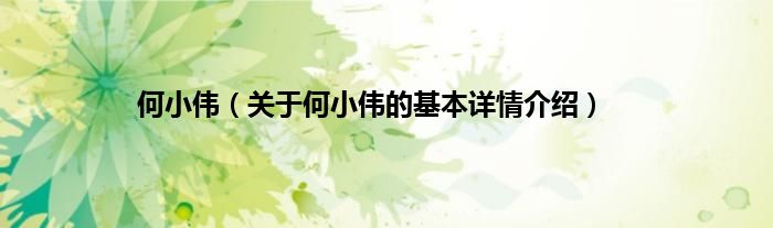 何小伟（关于何小伟的基本详情介绍）