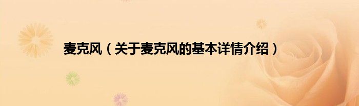 麦克风（关于麦克风的基本详情介绍）