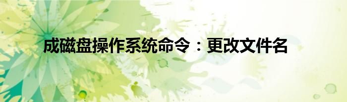 成磁盘操作系统命令：更改文件名