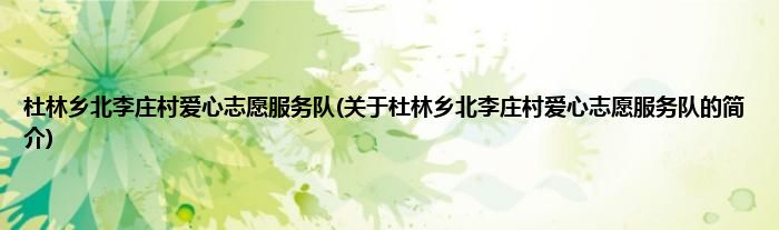 杜林乡北李庄村爱心志愿服务队(关于杜林乡北李庄村爱心志愿服务队的简介)