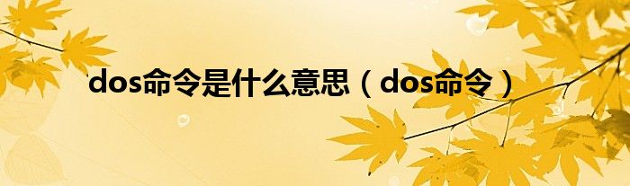 dos命令是什么意思（dos命令）