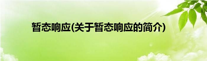暂态响应(关于暂态响应的简介)