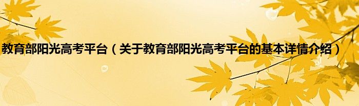 教育部阳光高考平台（关于教育部阳光高考平台的基本详情介绍）