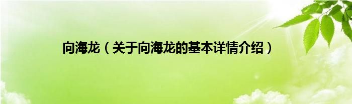 向海龙（关于向海龙的基本详情介绍）
