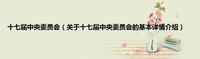 十七届中央委员会（关于十七届中央委员会的基本详情介绍）