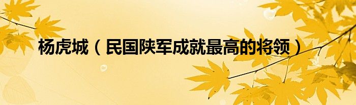 杨虎城（民国陕军成就最高的将领）